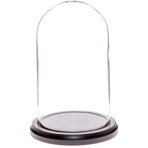 Plymor 4" x 7" Glass Display Dome Cloche (Black MDF Wood Base) - Picture 1 of 1