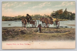 Postcard Vintage Men Digging Pitch in La Brea Trinidad - Picture 1 of 2