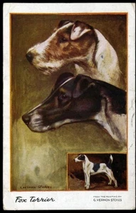 SMOOTH & WIRE FOXTERRIERS HUND KUNST POSTKARTE von: George Vernon Stokes - 1919 - Bild 1 von 2