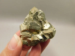 Pyrite Crystal Natural Small Mineral Specimen Cubes Fools Gold Peru #O2 - Picture 1 of 12