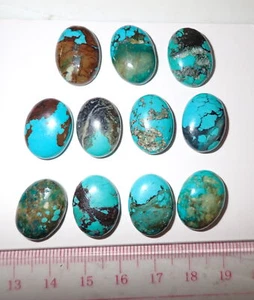 Turquoise Stone Oval 18x13 mm Flat Cabochon 104.5 Carat 11 pieces 20.9 gram - Picture 1 of 8