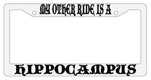 My Other Ride Is A Hippocampus White Plastic License Plate Frame Auto Fantasy - Picture 1 of 1