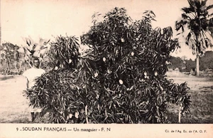 Postal de colección Sudán Sudán Français Un Manguier C359 - Imagen 1 de 2