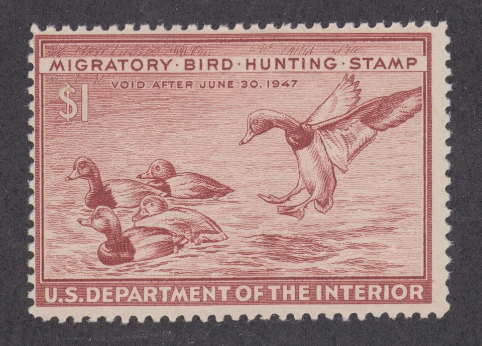 US Sc RW13 MLH. 1946 $1 red brown Redhead Ducks, Duck Hunting Permit Stamp - Image 1 of 1