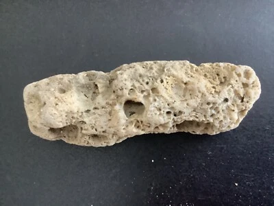 beautiful round piece of antique coral Caribbean . 3 inch .(Box7b)) - Image 1 of 2