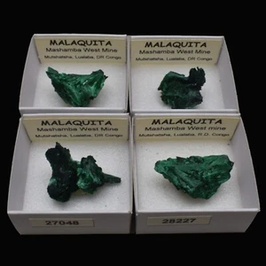 MALAQUITA Fibrosa (Mashamba West mine, DR Congo) "ver disponibles" / Malachite - Imagen 1 de 7