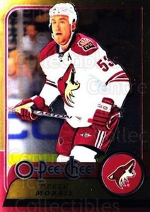 2008-09 O-pee-chee Metal #5 Derek Morris