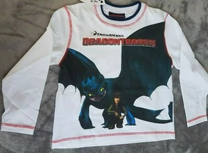 Disney NWT How To Train Your Dragon 4-5 years old Size M - Picture 1 of 6