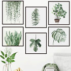 Pot Plants Framed Wall Stickers Botanical Vinyl Decals Home Decor  Art Mural DIY