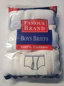 Fruit of the loom &/or Hanes Boy's White Briefs in Famous Brand Packages 3-Pack - Picture 1 of 4