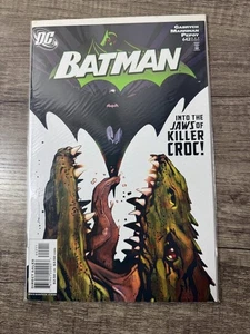 Batman #642 (DC Comics September 2005) - Picture 1 of 5