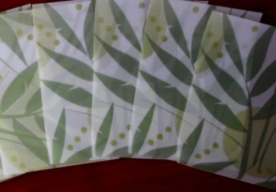 Christina Re Transparent Paper 15cm x 10.5cm ~RAINFOREST x 10 Cards/Invitations - image 1 of 2