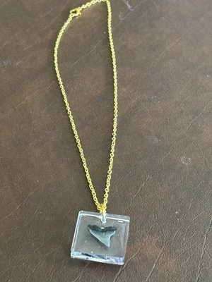 Genuino diente de tiburón prehistórico en resina en un collar dorado Foto 1 de 3