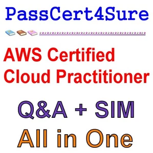 CLF-C02 AWS Certified Cloud Practitioner Exam 822 Q&A - Afbeelding 1 van 1