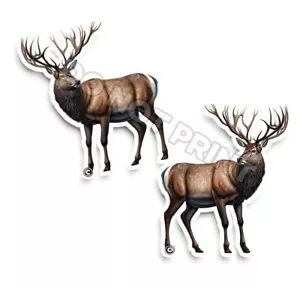 Pegatinas de vinilo con astas NATURALEZA ANIMAL excelentes calcomanías de dólar al aire libre C35014 2 piezas - Imagen 1 de 2
