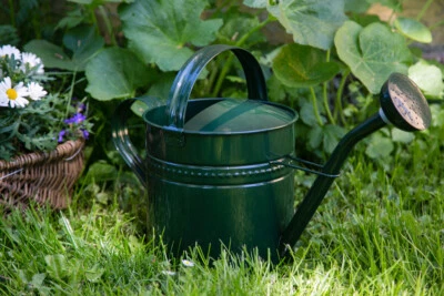 KUHEIGA Gießkanne 3,5 Liter Grün Metall Zinkkanne Verzinkt Kanne 9005 Wasserkanne