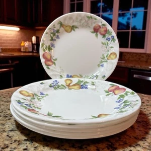 Set of 6 Beautiful Corelle Fruit Chutney 7.25” Salad Plates Fruit Swirl Boarder - Picture 1 of 13