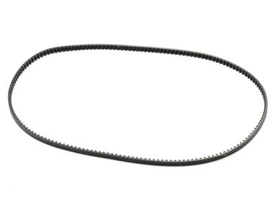 Team Associated Front Belt [ASC21328] - Image 1 of 2