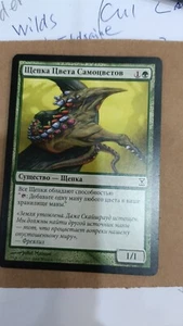 2XGEMHIDE SLIVER Time Spiral MTG RUSSIAN - Picture 1 of 1