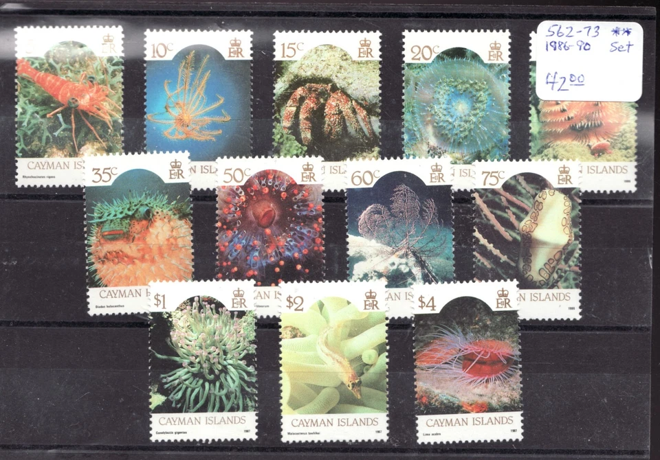 1986 Cayman Islands Sc #562-573 - Botanical, sea life. Stamp set MNH Cv$42 - Image 1 of 1