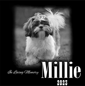 Personalized Pet Memorial Grave Marker Granite Plaque Human headstone dog 12x12 - Picture 1 of 22
