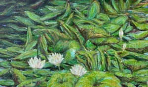 Original Water Lily Painting – Botanical Floral Art ,  12x20 in - Bild 1 von 6