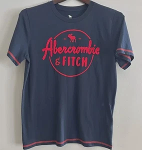 Abercrombie Fitch Spellout Shirt Textured Fuzzy 3D Embroidered Blue Red Baby Tee - Picture 1 of 7