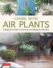 Living With Air Plants Gc English Kashima Yoshiharu Tuttle Publishing Hardback