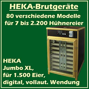 HEKA Jumbo XL - vollautomatisches Brutgerät für 1500 Hühnereier - Großraumbrüter - Bild 1 von 2