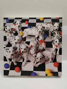 Puzzle vintage Springbok 1993 "Here Spot" 500 pezzi cani dalmati USA  - Foto 1 di 11