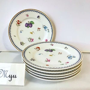 6 pcs Richard Ginori Italian Fruit Plate D20cm/7.9" MINT Salad Dessert Doccia - Picture 1 of 14