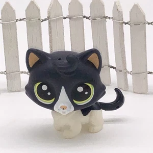 ❤️ INKWELL FELINSKY CAT #320 Authentic Littlest Pet Shop - Hasbro LPS Barcode - Bild 1 von 5