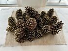 22 Gold Hand Painted Loblolly 4-6? Pinecones, 6 With Gold Glitter Tips And Wired