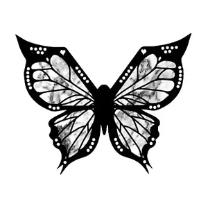 Eyeliner Stencil - Eye Shadow Guide, Butterfly Shaped, Quick Eye Makeup Tool  - Picture 1 of 12