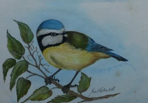 BLUE TIT SIGNED ORIGINAL PAINTING by JIM ROBERTS (Author of SNOWDONIA) - Picture 1 of 3