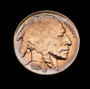 1929-D Buffalo Nickel MS++++ - Picture 1 of 2