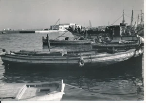 SOUSSE c. 1960 - Photo de la Ville Port Tunisie - P 2782 - Bild 1 von 2