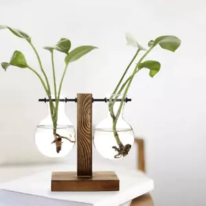 Stand Glass Planter Bulb Vase, Hydroponic Plant Vases with Wooden Stand, Terrari - Picture 1 of 8