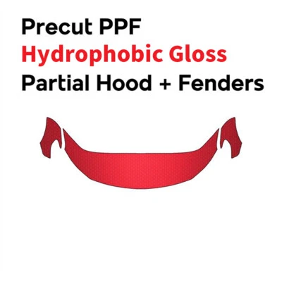 Sujetador transparente con película de protección de pintura PPF precortada para Volkswagen Passat CC 2006-2012 Foto 1 de 4