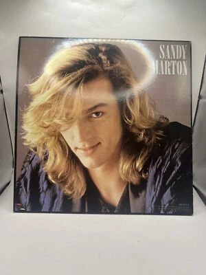 SANDY MARTON - EXOTIC AND EROTIC - NEW HOT VERSION '86  -  VINYL 12" single - Image 1 of 3