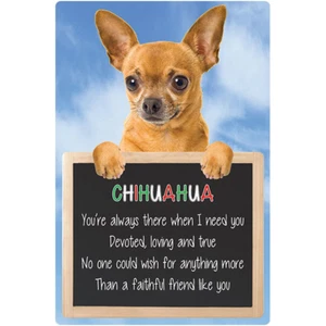 Chiuhuahua Schild Treuer Freund kurz beschichtet Chihuahuas Hund Zitat Schild Schilder Haustier - Bild 1 von 1