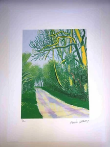 David Hockney Offset Lithograph 50X35 Cm Signed On Plate With Certificate - Picture 1 of 5