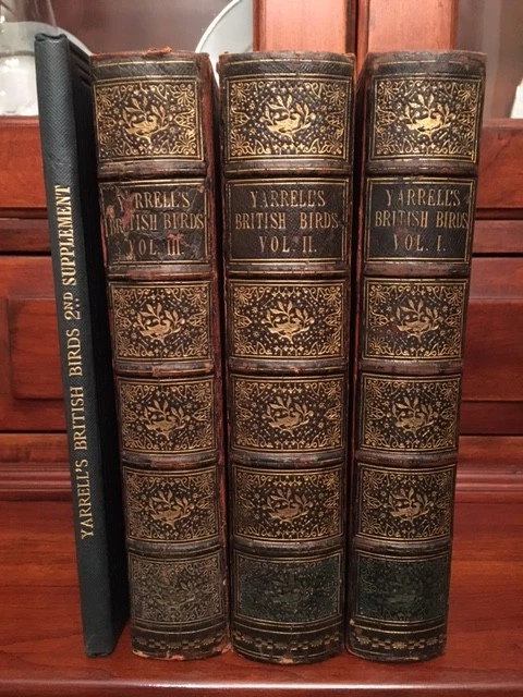 RARE 1843 History of British Birds, Yarrell, Owls Swans Goose Ducks, ORNITHOLOGY - Image 1 of 4