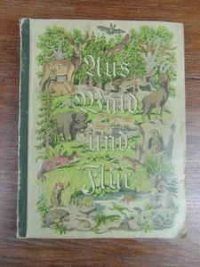 ALBUM AUS WALD UND FLUR Zigaretten Bilderdienst 1938 komplett TIERE nicht PANINI - Bild 1 von 7