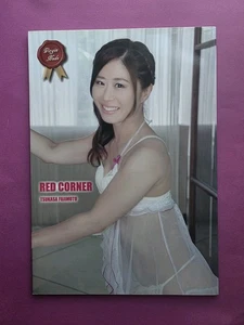 Tsukasa Fujimoto Red Corner Photobook Women's Pro Wrestling CMLL Ice Ribbon - Picture 1 of 2