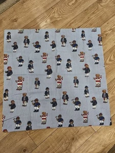 Vtg Ralph Lauren Polo Blue Pinstripe Teddies Euro Sham Large Square Pillowcase - Picture 1 of 6