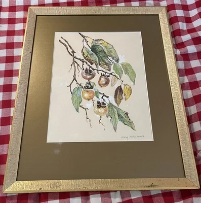 Original - Famosa pintora botánica temprana de Texas Mary Motz Wills (1875-1961) Foto 1 de 4