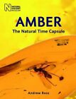 Amber: The Natural Time Capsule By Andrew Ross