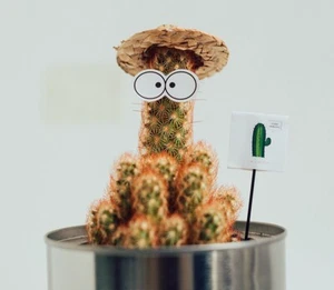 party decoration hat plant mini hat for Succulents house plant decoration - Picture 1 of 10