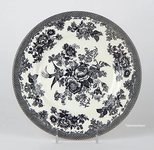 Royal Stafford ASIATIC PHEASANT BLACK, 8 1/2" Salad Plate, SUPERB+ Condition! - Picture 1 of 3